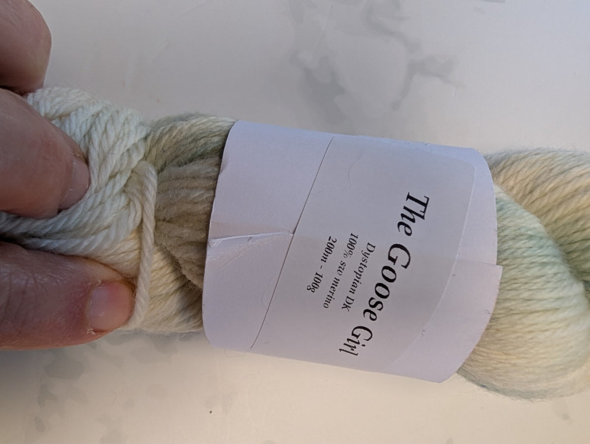 2 Skeins Through The Wardrobe Yarn Co Dystopian DK Superwash Merino 200g