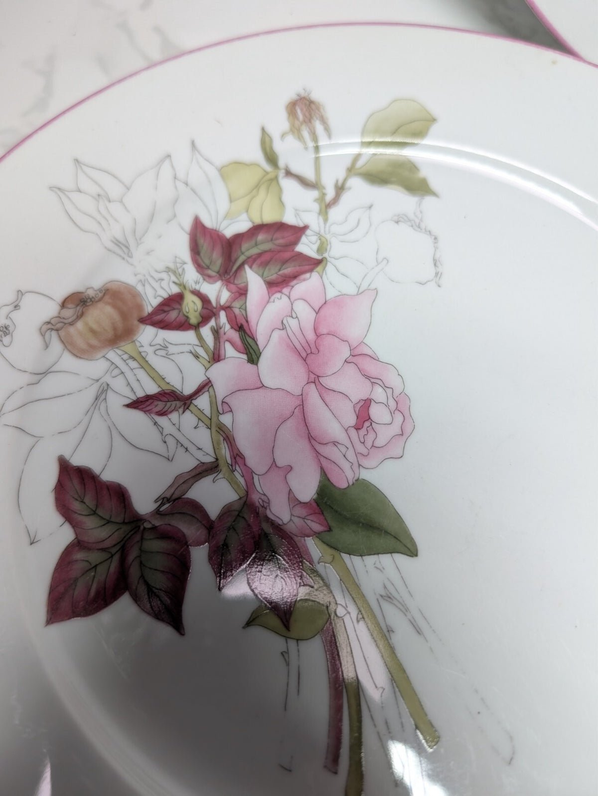 Block Spal Watercolors Western Rose Dinner Plates Set of 3 Mary Lou Goertzen