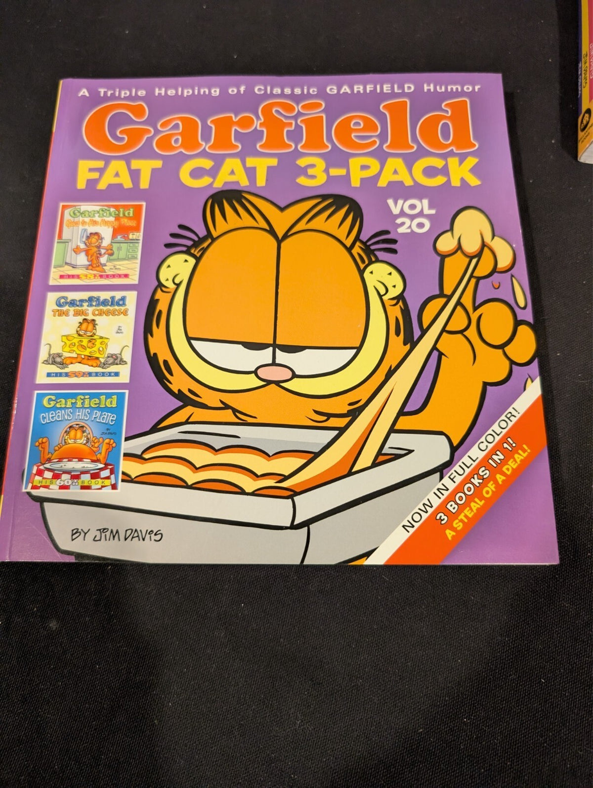 Garfield Jim Davis Book Lot Fat Cat 3-Packs Vol 6 20 Comics Little Golden Book