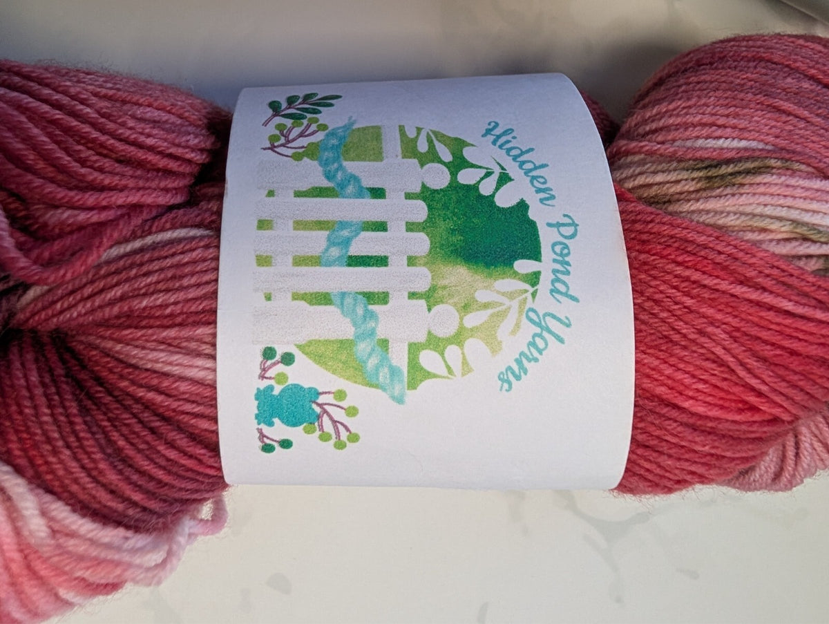 2 Skeins Indie Hand Dyed Sock Yarn Hickory Lane Main St Hidden Pond Peony Party