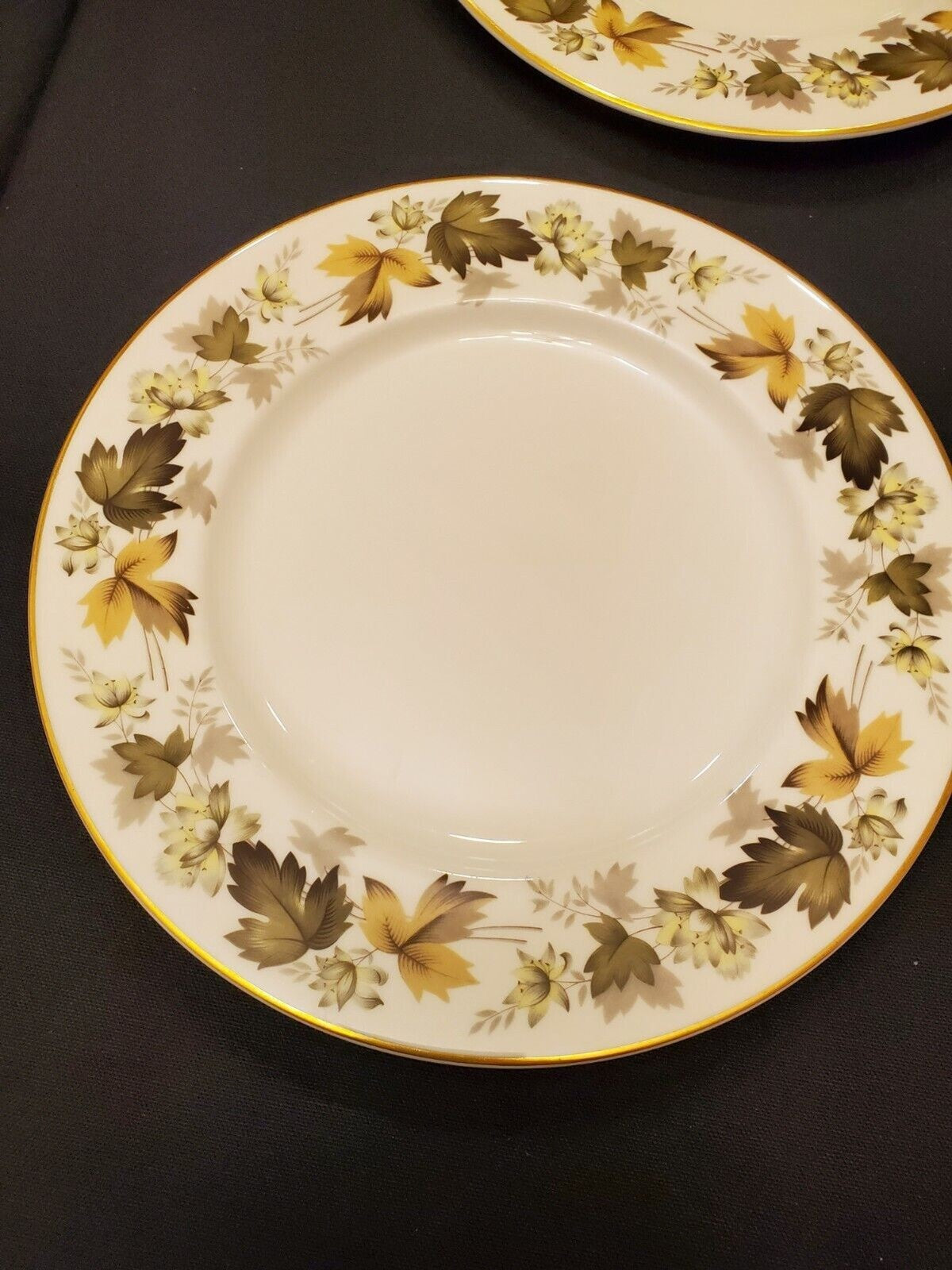 Royal Doulton Larchmont Fine China - 4 Dinner Plates (TC1019)