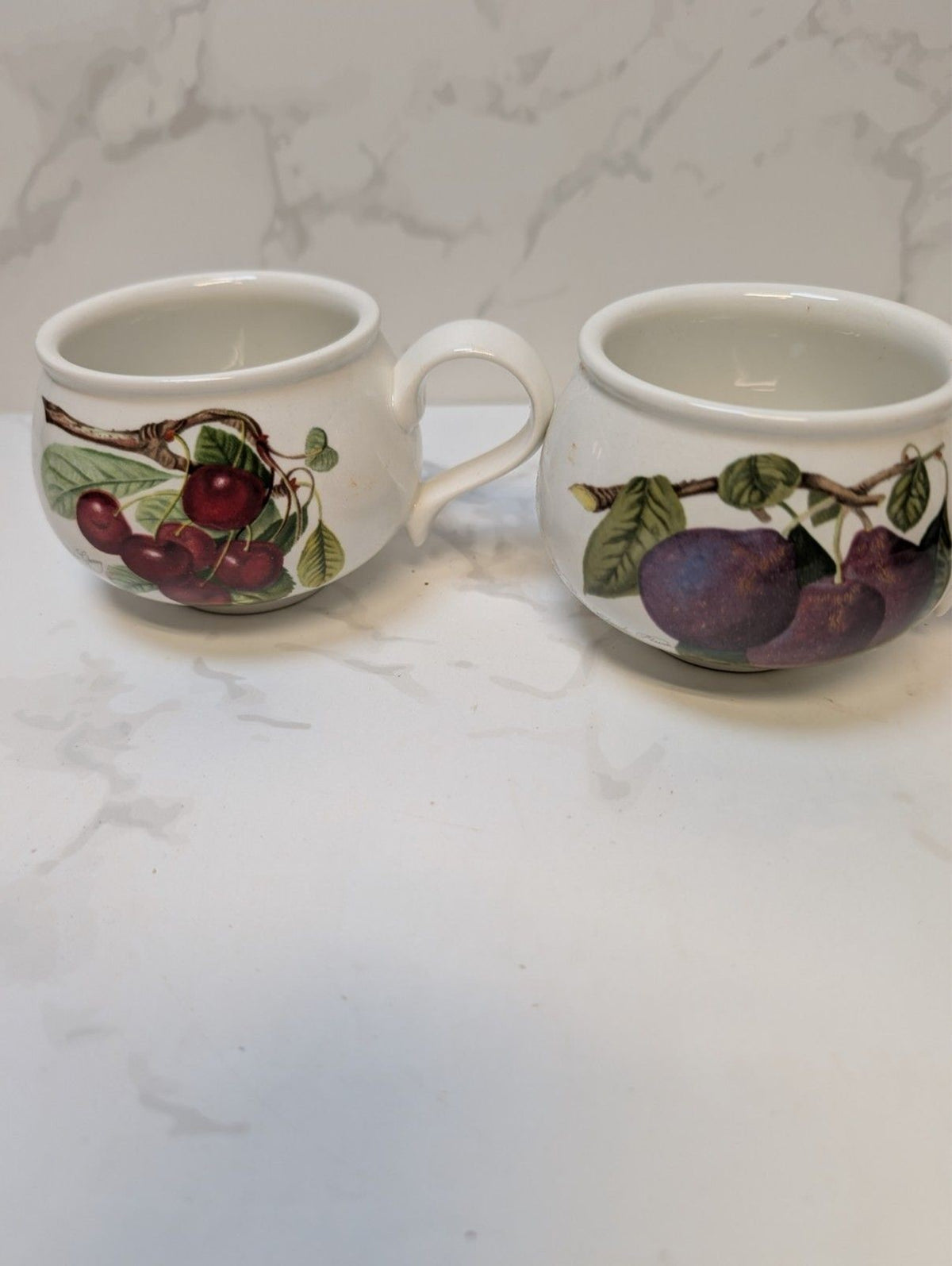 Portmeirion Pomona Tea Cups & Saucers Set 6 Boxed Susan Williams-Ellis
