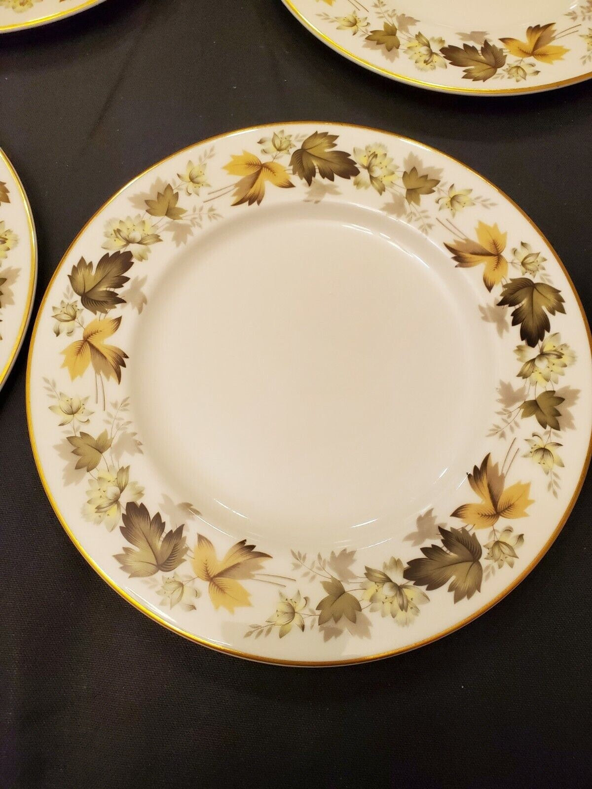 Royal Doulton Larchmont Fine China - 4 Dinner Plates (TC1019)