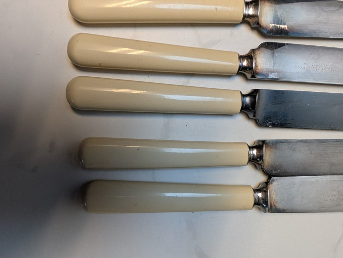 Antique Meriden Cutlery Celluloid Patent Ivory Dessert Knives Boxed 12