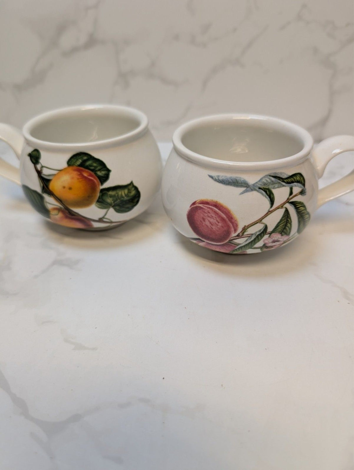 Portmeirion Pomona Tea Cups & Saucers Set 6 Boxed Susan Williams-Ellis