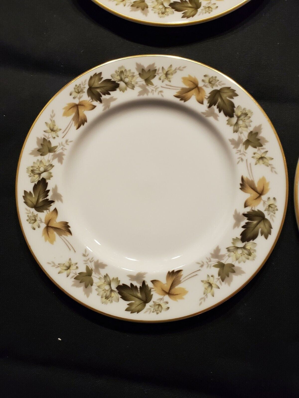 Royal Doulton Larchmont Fine China - 4 Salad Plates (TC1019)
