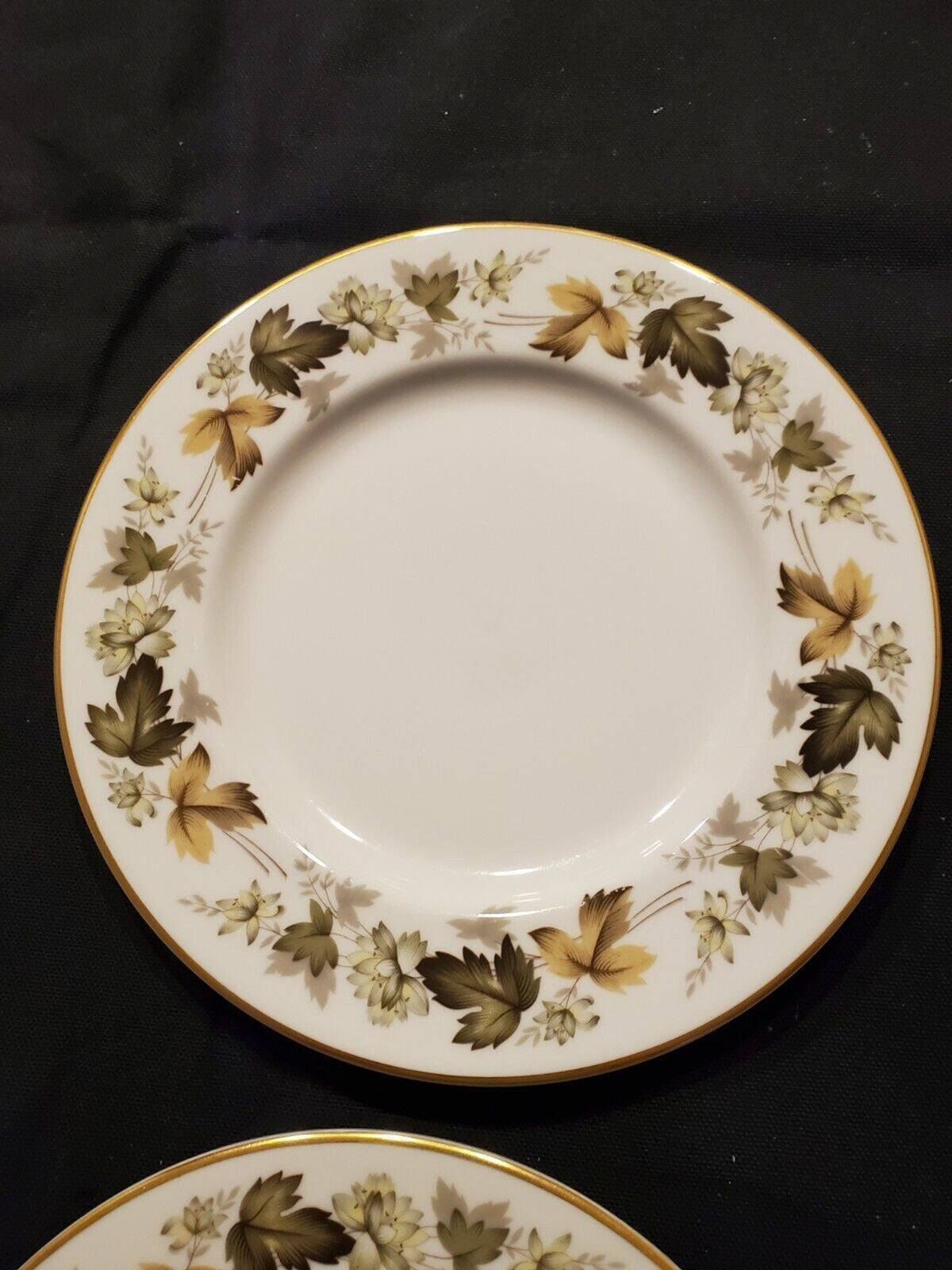 Royal Doulton Larchmont Fine China - 4 Salad Plates (TC1019)