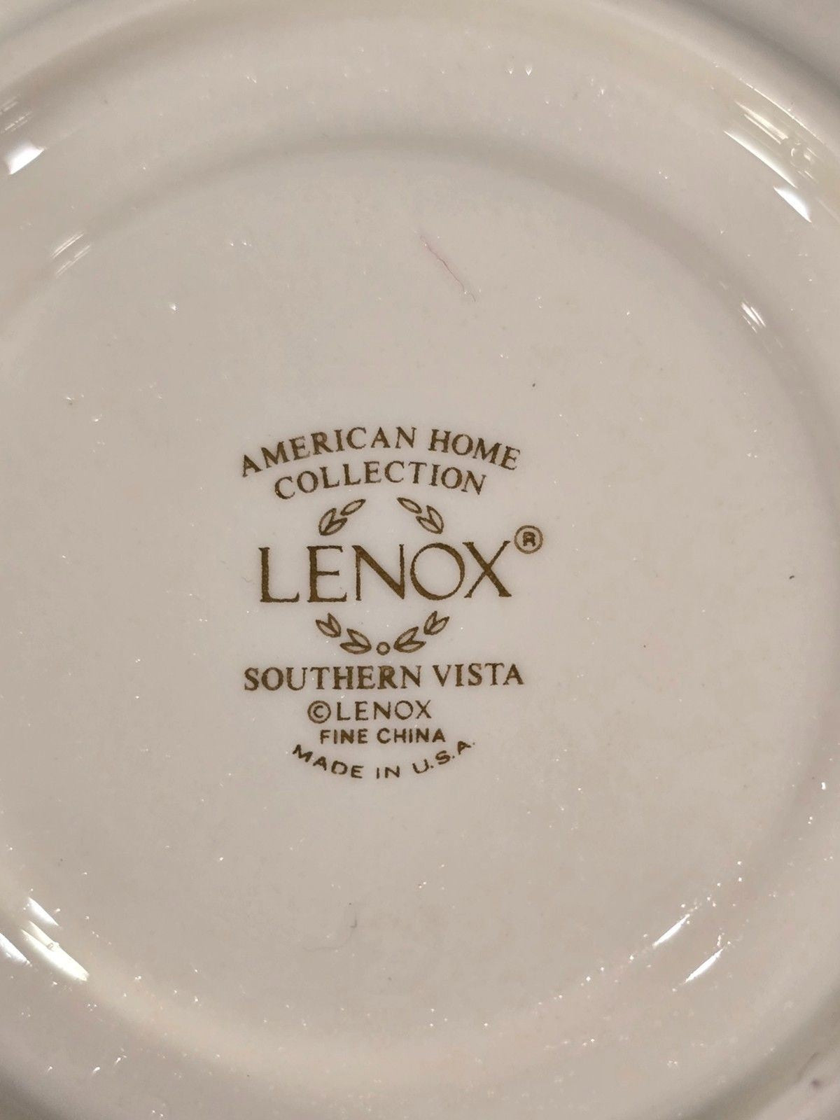 Lenox Southern Vista Cup & Saucer Set Floral Blue Gold Trim