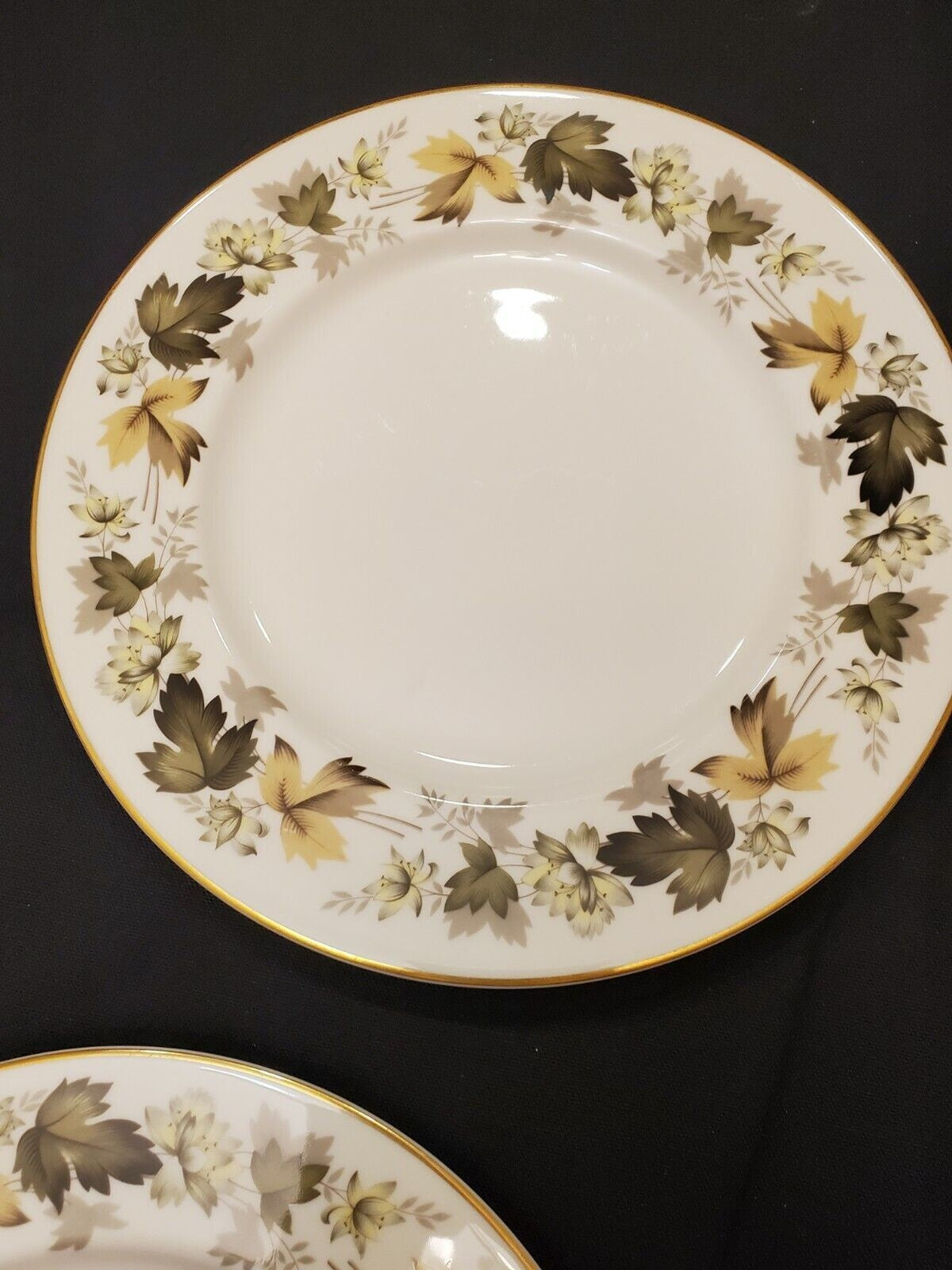Royal Doulton Larchmont Fine China - 4 Dinner Plates (TC1019)