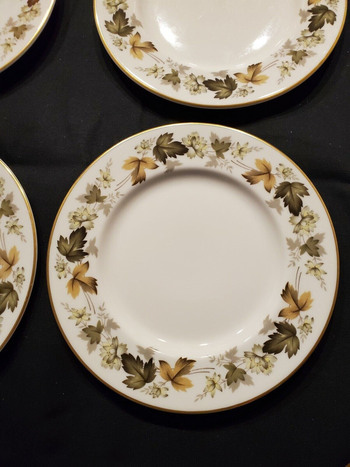 Royal Doulton Larchmont Fine China - 4 Salad Plates (TC1019)