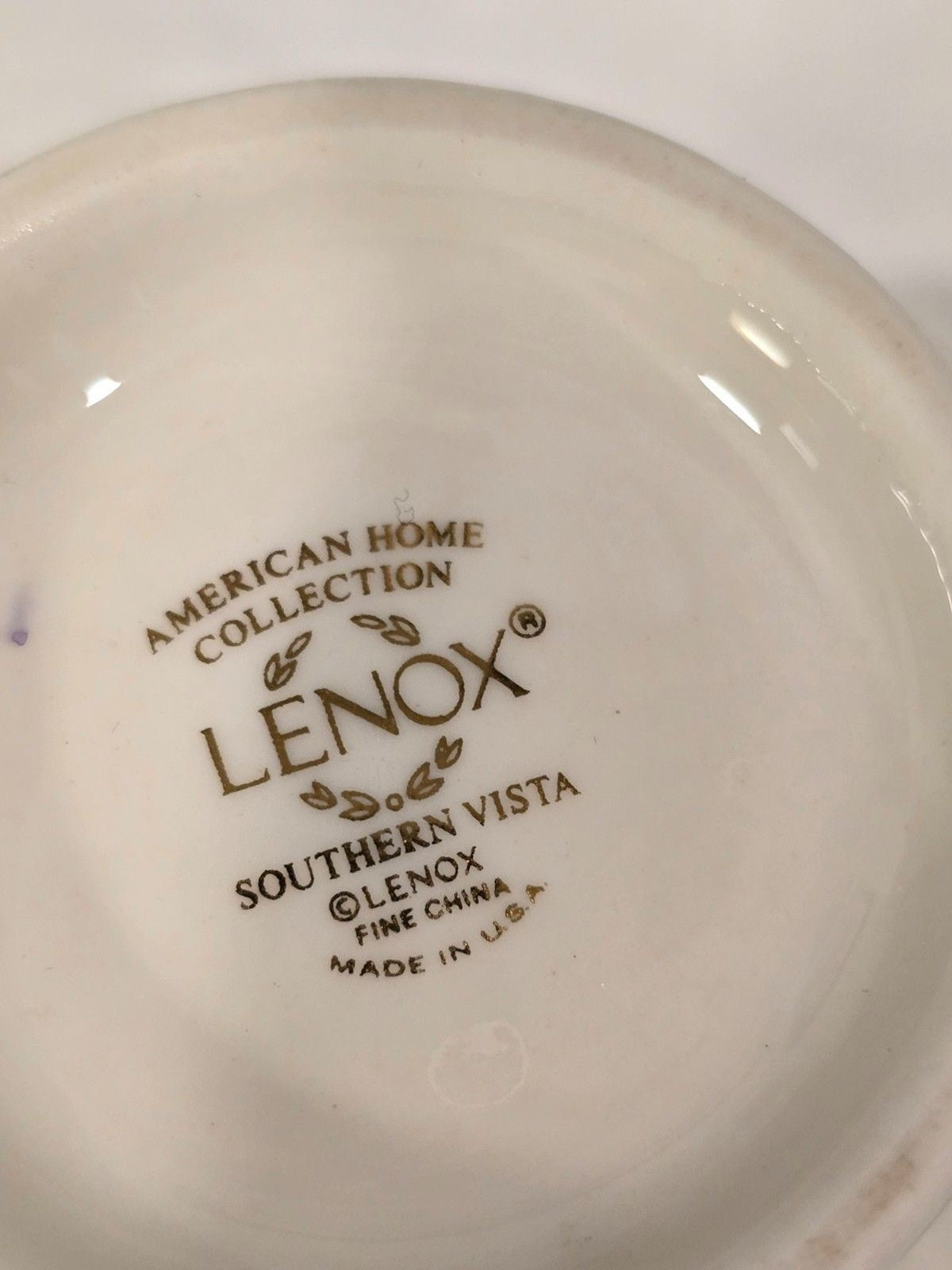 Lenox Southern Vista Cup & Saucer Set Floral Blue Gold Trim