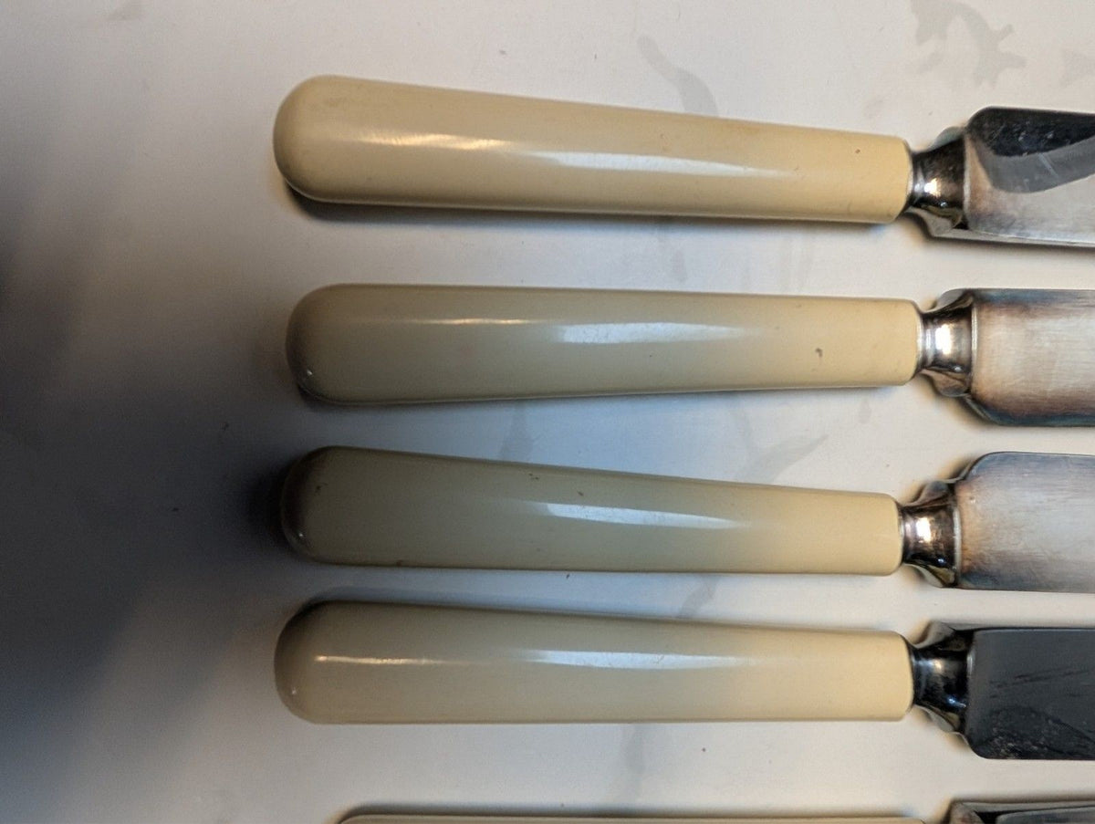 Antique Meriden Cutlery Celluloid Patent Ivory Dessert Knives Boxed 12