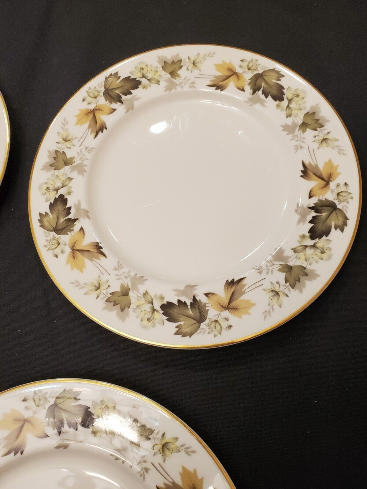 Royal Doulton Larchmont Fine China - 4 Dinner Plates (TC1019)