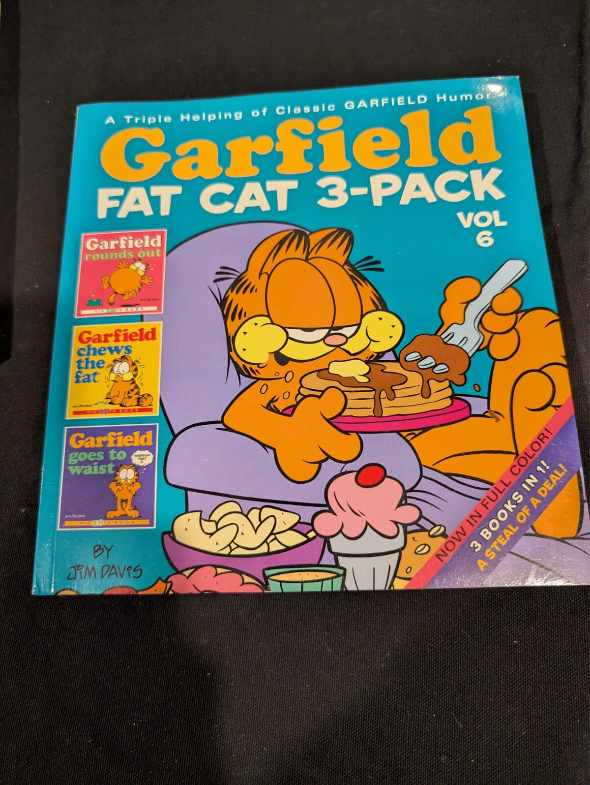 Garfield Jim Davis Book Lot Fat Cat 3-Packs Vol 6 20 Comics Little Golden Book