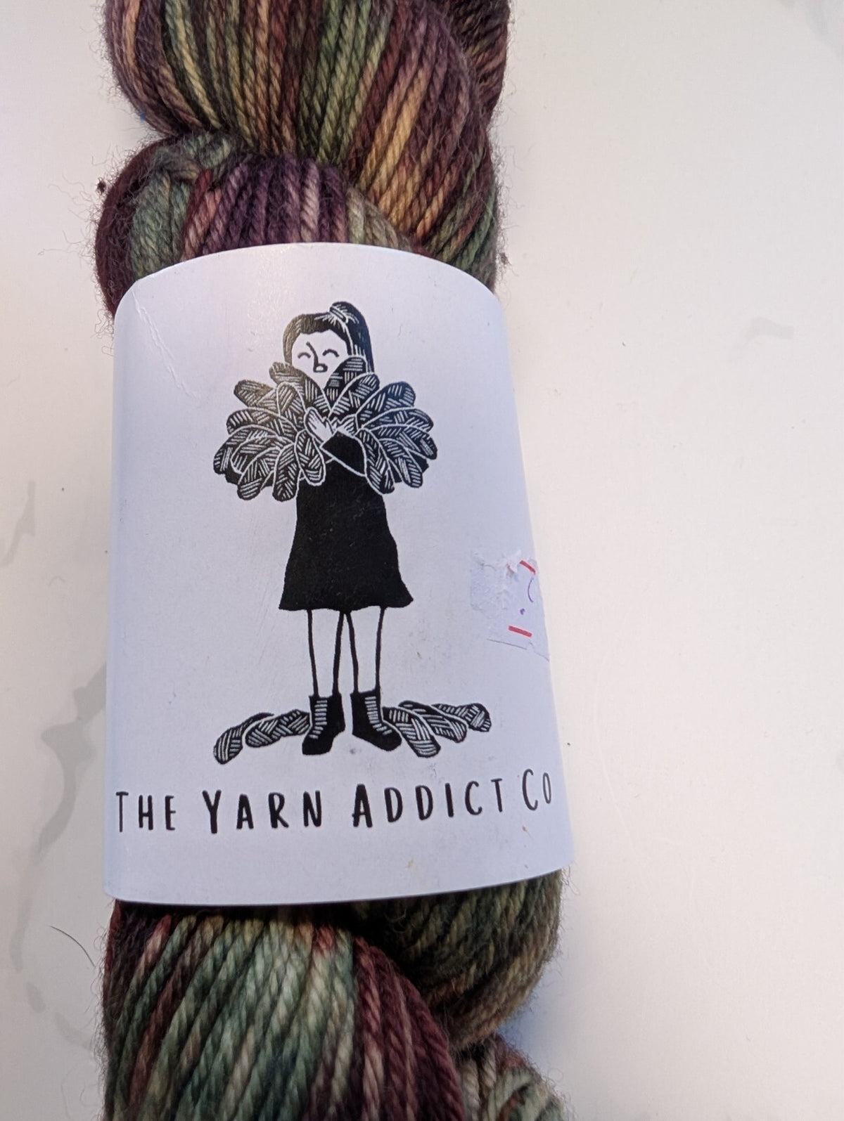 2 Skeins Indie Hand Dyed DK Yarn Merino Wool The Frog Prince Cedar Berries 200g