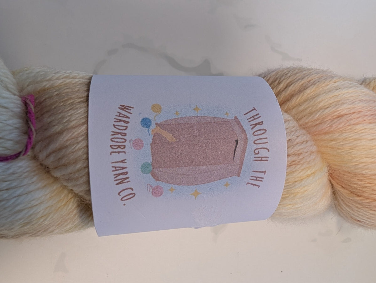 2 Skeins Through The Wardrobe Yarn Co Dystopian DK Superwash Merino 200g