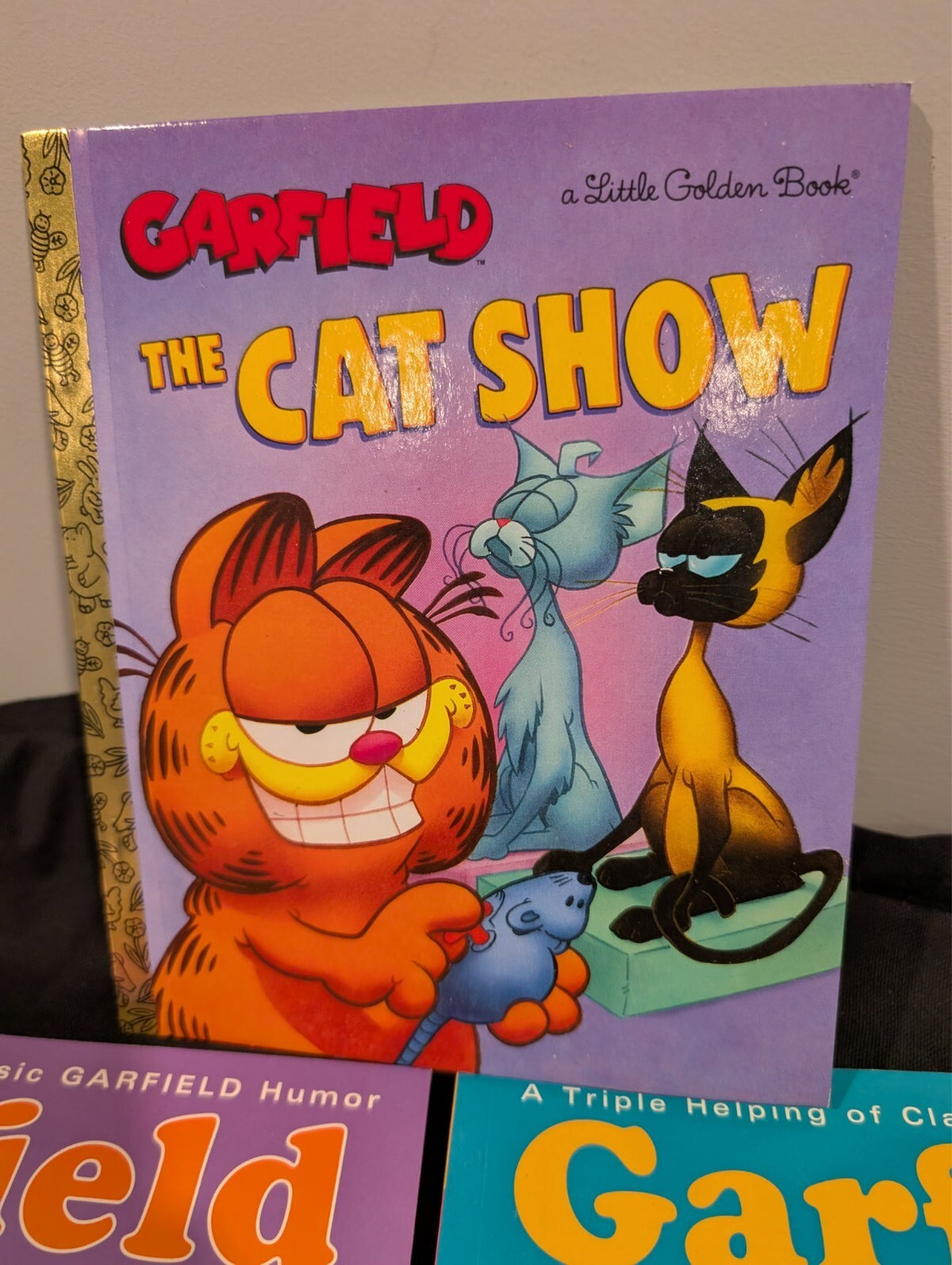 Garfield Jim Davis Book Lot Fat Cat 3-Packs Vol 6 20 Comics Little Golden Book