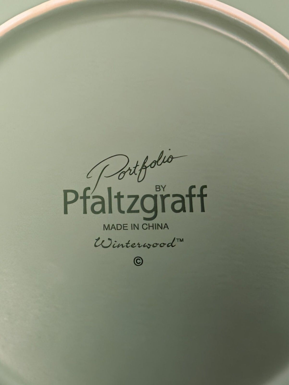 Pfaltzgraff Winterwood 16" Oval Serving Platter Chickadee Holiday Stoneware