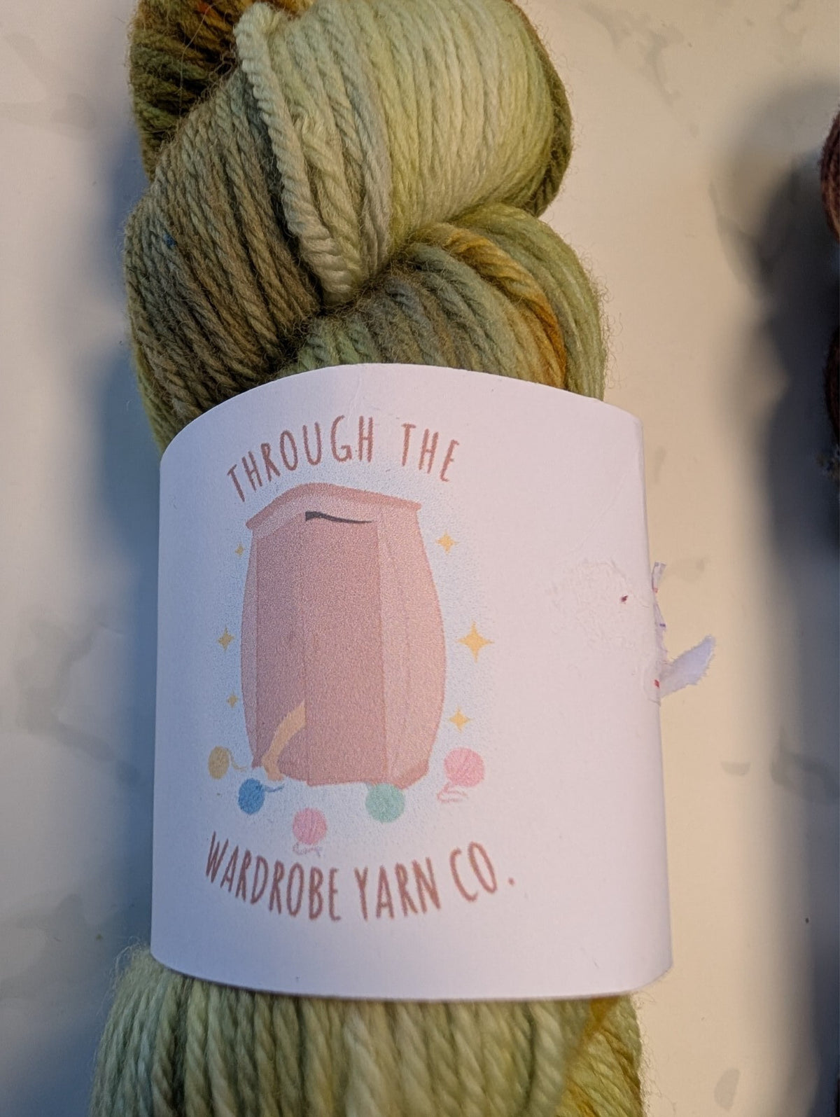 2 Skeins Indie Hand Dyed DK Yarn Merino Wool The Frog Prince Cedar Berries 200g