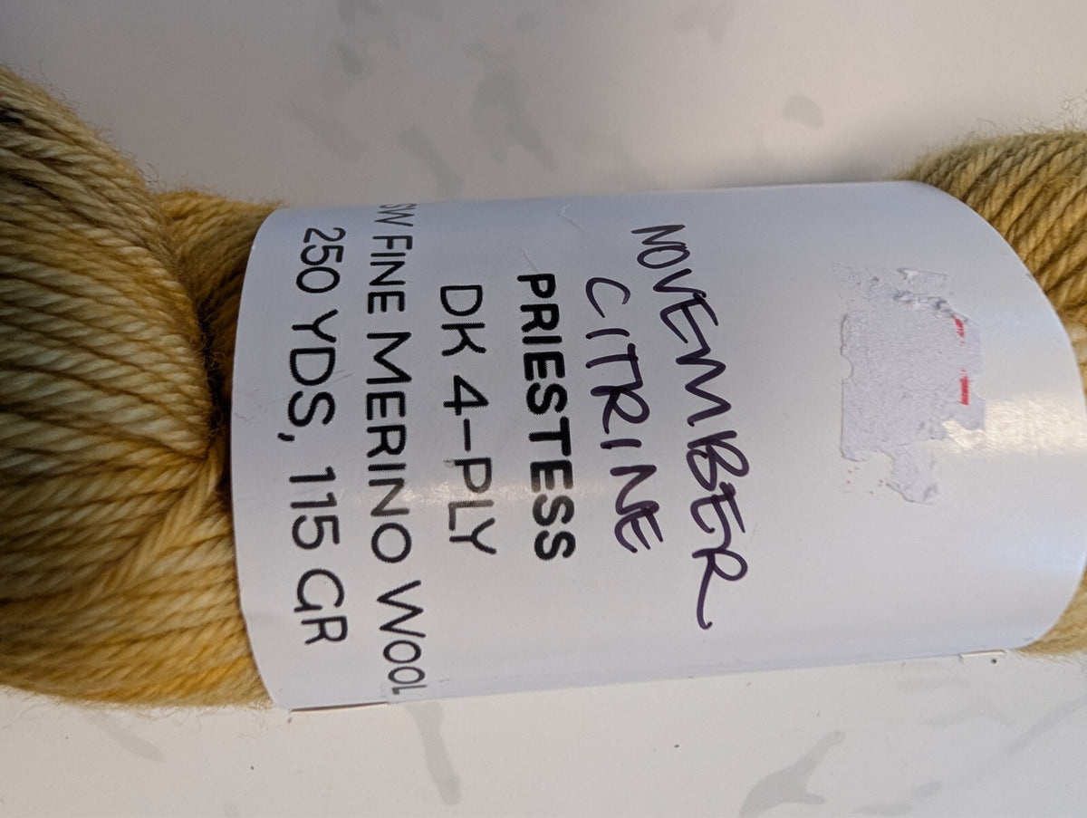 4 Skeins Indie Hand Dyed DK Yarn Ritual Dyes The Yarn Addict Co Hidden Pond 430g