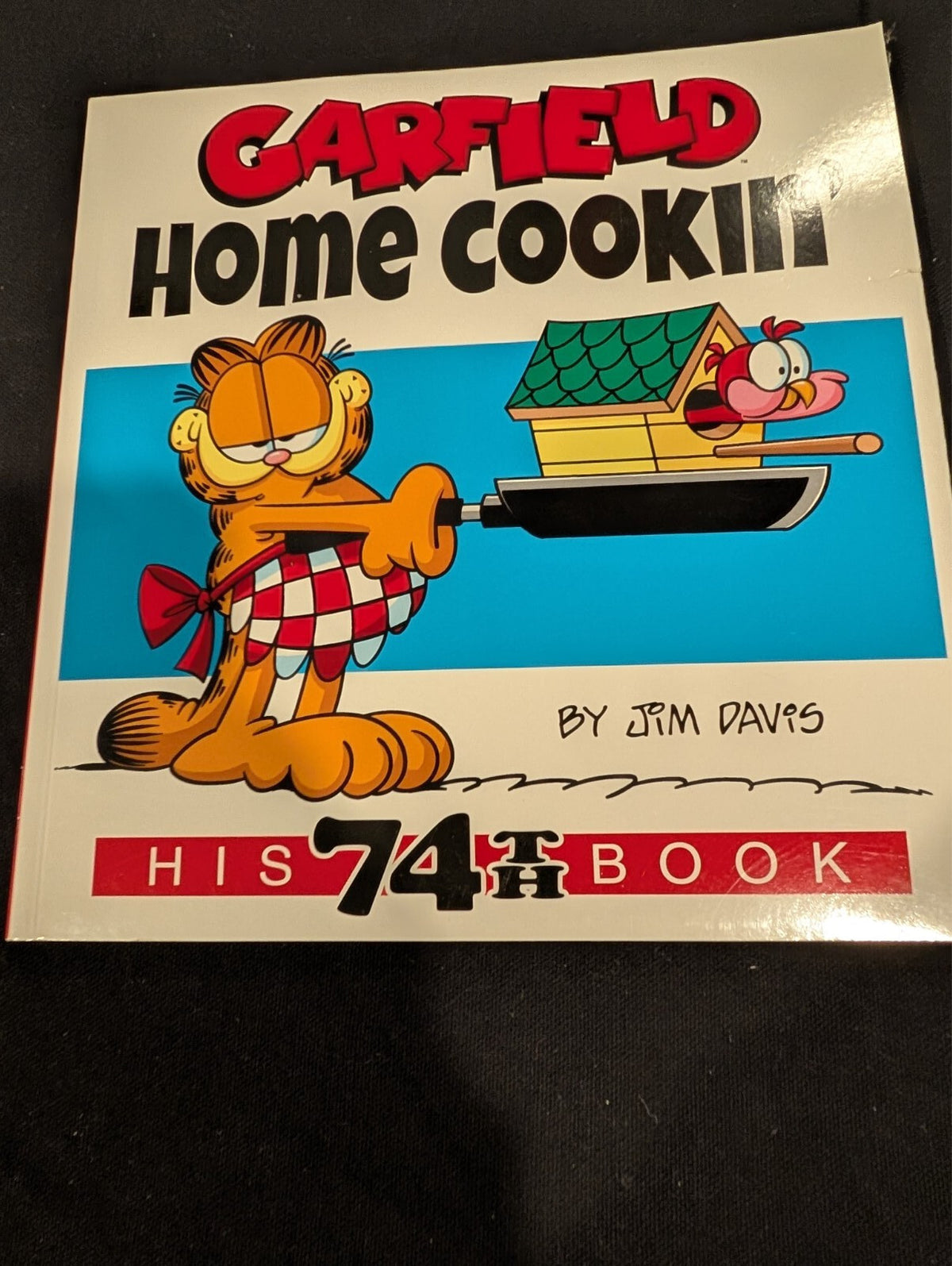 Garfield Jim Davis Book Lot Fat Cat 3-Packs Vol 6 20 Comics Little Golden Book